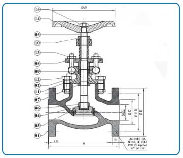 Globe Valve