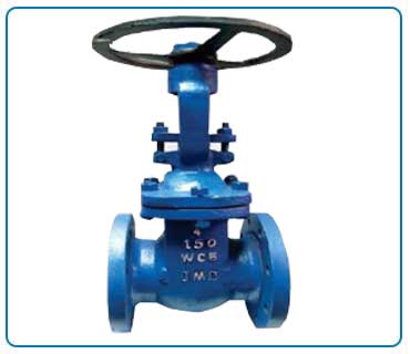 Globe Valve