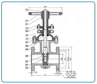 Globe Valve